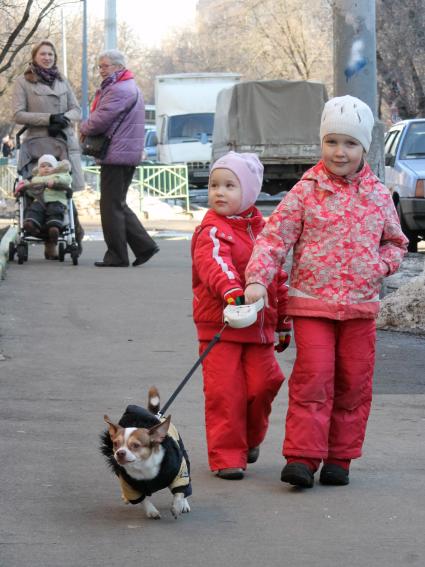 Двое детей выгуливают маленькую собаку.