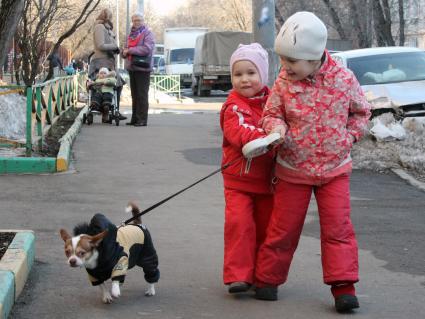 Двое детей выгуливают маленькую собаку.