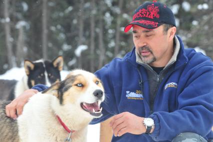 Аляска. Ежегодные гонки на собачьих упряжках (Iditarod Trail Sled Dog Race). На снимке: чукотские ездовые собаки.