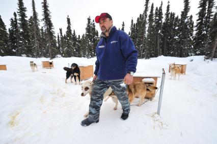 Аляска. Ежегодные гонки на собачьих упряжках (Iditarod Trail Sled Dog Race). На снимке: чукотские ездовые собаки.