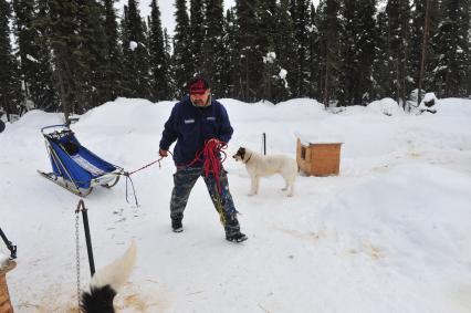 Аляска. Ежегодные гонки на собачьих упряжках (Iditarod Trail Sled Dog Race). На снимке: каюр и ездовые собаки.