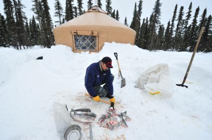 Аляска. Ежегодные гонки на собачьих упряжках (Iditarod Trail Sled Dog Race). На снимке: мужчина рубит рыбу топором.