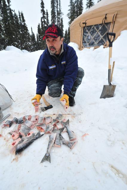 Аляска. Ежегодные гонки на собачьих упряжках (Iditarod Trail Sled Dog Race). На снимке: мужчина рубит рыбу топором.