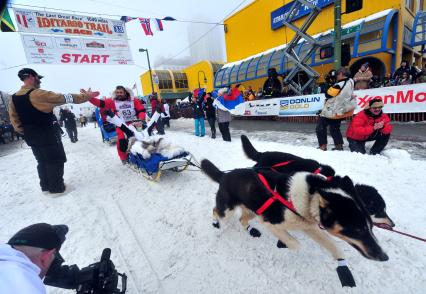 Аляска. Ежегодные гонки на собачьих упряжках (Iditarod Trail Sled Dog Race). На снимке: каюры и ездовые собаки.