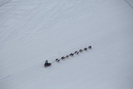 Аляска. Ежегодные гонки на собачьих упряжках (Iditarod Trail Sled Dog Race).