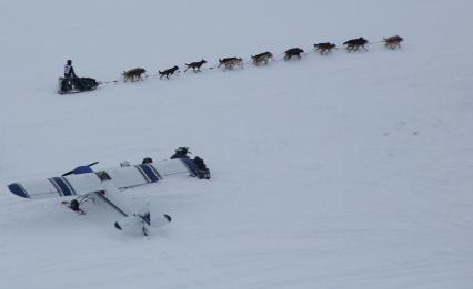 Аляска. Ежегодные гонки на собачьих упряжках (Iditarod Trail Sled Dog Race).