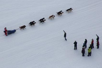 Аляска. Ежегодные гонки на собачьих упряжках (Iditarod Trail Sled Dog Race).