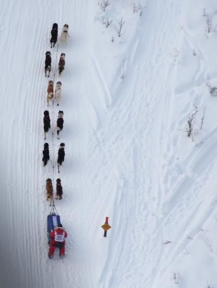 Аляска. Ежегодные гонки на собачьих упряжках (Iditarod Trail Sled Dog Race).