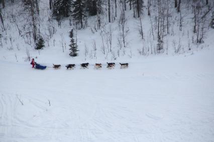 Аляска. Ежегодные гонки на собачьих упряжках (Iditarod Trail Sled Dog Race).