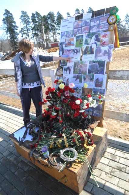 Ул. Фестивальная.  Возгорание на конюшне конно-спортивного клуба `Сергиев Посад`. Вследствие пожара погибли 15 лошадей. На снимке: стенд с фотографиями погибших животных