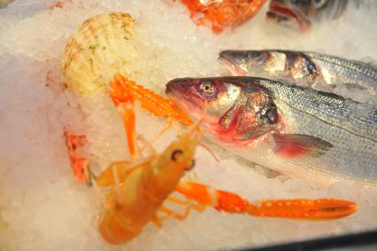 Ресторан Peshi. На снимке: морепродукты в контейнере со льдом.