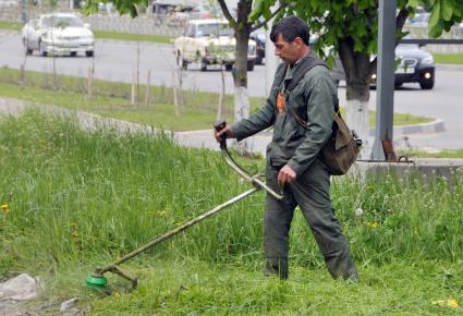 Гастарбайтер занимается покосом травы на газонах вдоль автомобильной дороги.