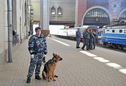 Казанский вокзал. Система контроля над перевесом багажа пассажиров. На снимке: кинолог со служебной собакой на перроне вокзала.