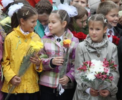 Три школьницы с цветами стоят и разговаривают