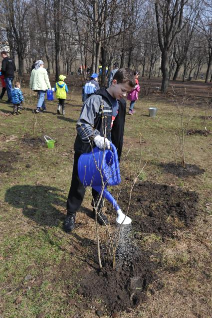 Отрадное. Общегородской субботник. На снимке: посадка деревьев