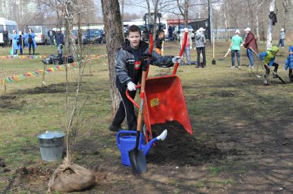 Отрадное. Общегородской субботник. На снимке: посадка деревьев