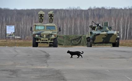 Полигон 106 Гвардейской воздушно-десантной дивизии. Выставка высокоточного оружия тактической зоны действия. На снимке:  военная техника и черный кот.