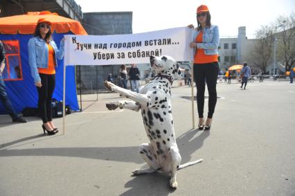 Митинг против хамства, организованный газетой `Комсомольская правда`, прошел в Парке Горького.