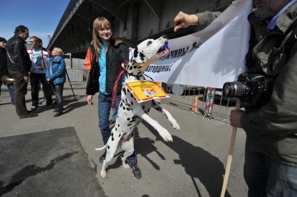 Митинг против хамства, организованный газетой `Комсомольская правда` (КП), прошел в Парке Горького. На снимке: табличка на далматинце `Не выгуливаю хозяев без совка`.