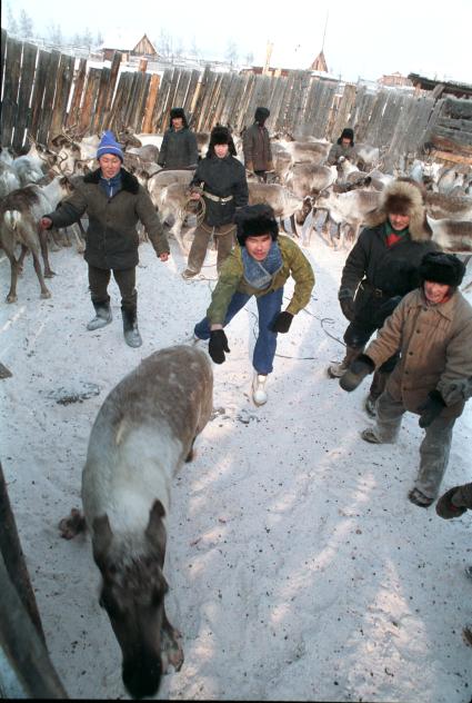 Восточная Сибирь. Эвенкия. На снимке: эвенки.