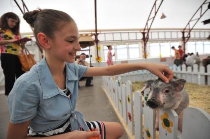 ВВЦ. Первый в Москве контактный зоопарк. На снимке: девочка и минипинги (карликовые свиньи).