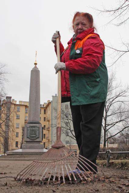 Женщина дворник собирает осеннюю листву граблями.