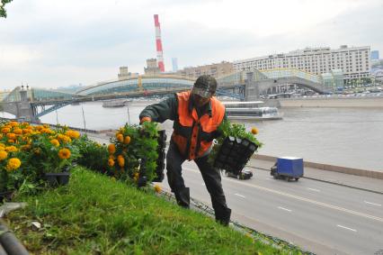 Мужчина разносит цветы для посадки.