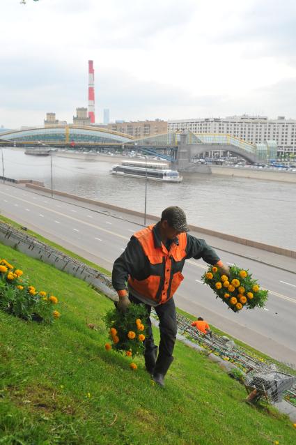 Мужчина разносит цветы для посадки.