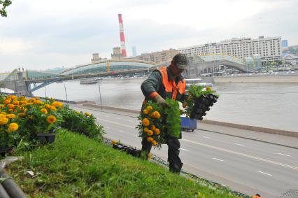 Мужчина разносит цветы для посадки.