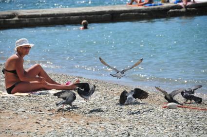 Пляж. На снимке:женщина и голуби на берегу моря