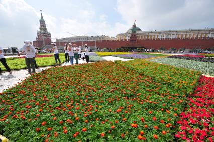 Фестиваль живых цветов на Красной площади, приуроченный к 60-летию с нового открытия ГУМа.