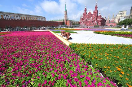 Фестиваль живых цветов на Красной площади, приуроченный к 60-летию с нового открытия ГУМа.