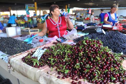 Одесса. Продуктовый рынок. На снимке: продажа черной смородины и вишни.