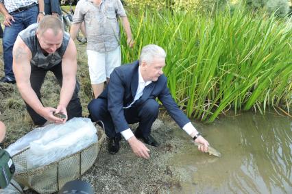 В Борисовские пруды в целях биоочистки выпустили рыбу - белого амура. На снимке: врио мэра Москвы Сергей Собянин (в центре) принял участие в выпуске особей белого амура.