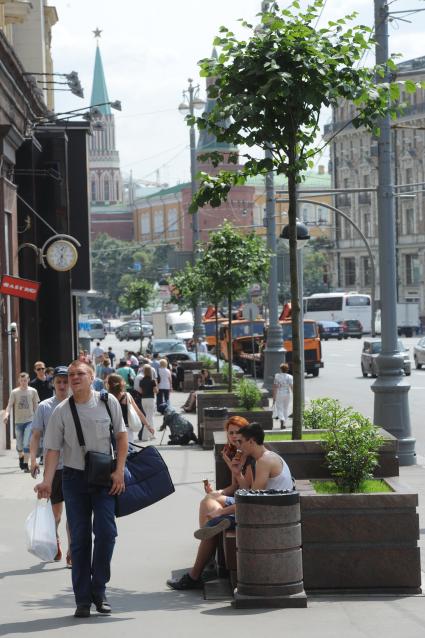 Благоустройство и озеленение Москвы. На снимке: деревья в кадках из гранита на Тверской улице.