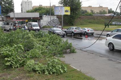 Последсьвия грозового ливня в Москве. На снимке: сломанное дерево и оборванный кабель на тротуаре.