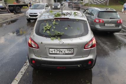 Последсьвия грозового ливня в Москве. На снимке: автомобиль Nissan, на который  упало сломанное дерево.