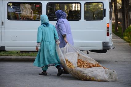 Уборка листвы. На снимке: женщины с опвшей листвой на улицах Душанбе