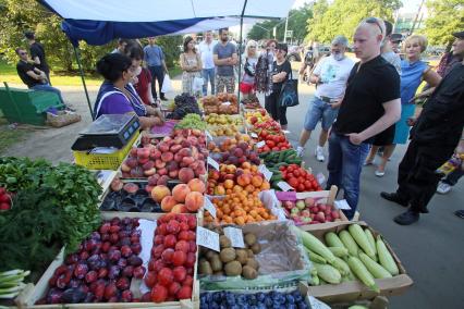 русская зачистка, националисты инспектируют уличную торговлю