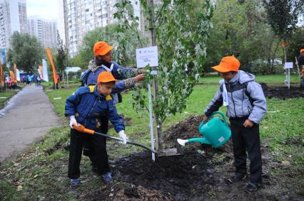 Акция газеты `Комсомольская правда` `Сделай Москву парком!`. На снимке: посадка деревьев в сквере на улице Академика Королева д.4Б.