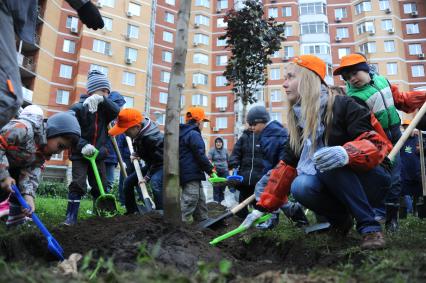 Акция газеты `Комсомольская правда` `Сделай Москву парком!`. Посадка деревьев во дворе дома по улице Соловьиная Роща 5-9 в Куркино.