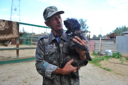 Питомник для бездомных собак и кошек в городе Пушкино.