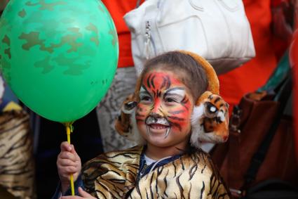 Карнавальное шествие в Владивостоке в честь празднования деня тигра. На снимке: ребенок в костюме тигра с надувным шариков в руках.