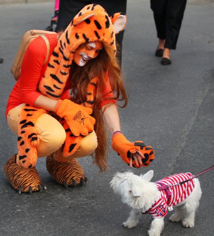 Карнавальное шествие в Владивостоке в честь празднования деня тигра. На снимке: девушка в костюме тигра гладит собаку.