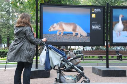 Тверской бульвар. Открытие выставки фотографа Сергея Горшкова `Остров Врангеля. Оазис во льдах`.