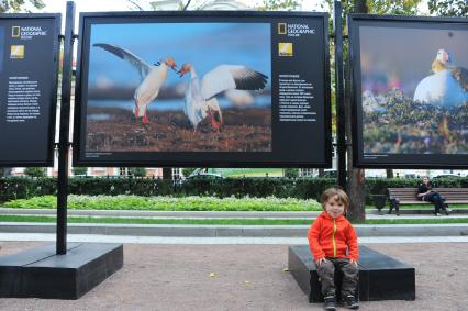 Тверской бульвар. Открытие выставки фотографа Сергея Горшкова `Остров Врангеля. Оазис во льдах`.