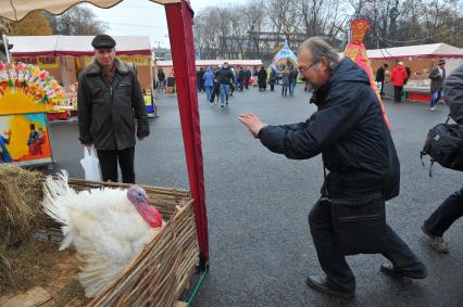 Ярмарка на ВВЦ. На снимке: индюк.