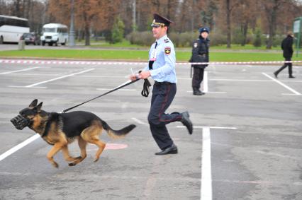 Спорткомплекс `Лужники`.  Спортивный праздник московской полиции, организованный ГУ МВД России. На снимке: соревнования на площадке кинологов.