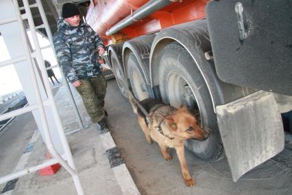 Кинолог с собакой досматривает автомобиль на таможне Россия-Монголия.