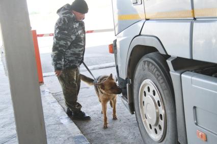 Кинолог с собакой досматривает автомобиль на таможне Россия-Монголия.